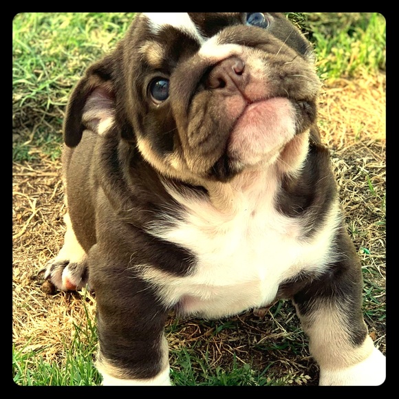 Meet your Posher, Stephanie - Picture 2 of 3